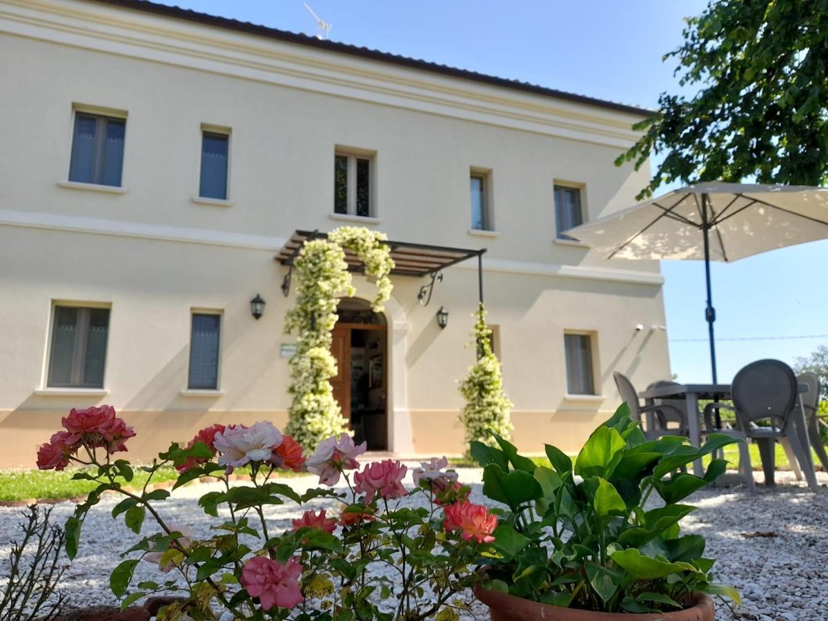 Villa Marietta Country House - Marche Montemaggiore al Metauro Extérieur photo
